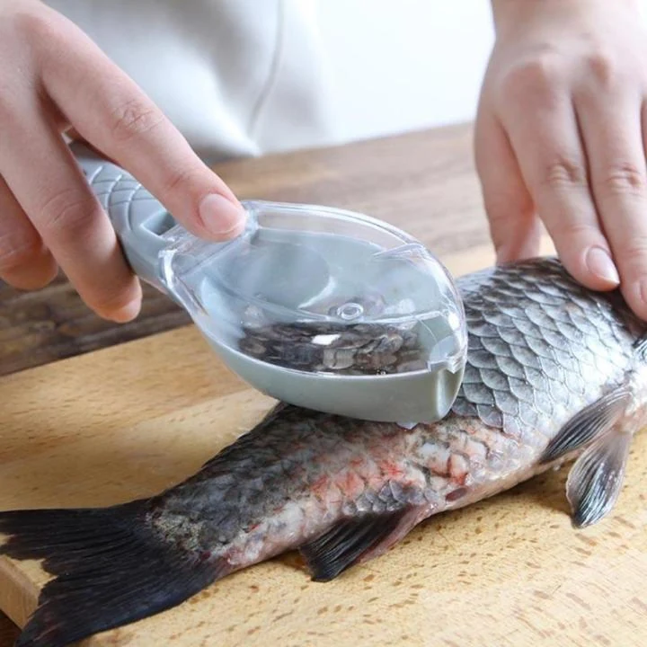 Fish Scale Scraper with Cover 17 Kitchen Accessory image 3