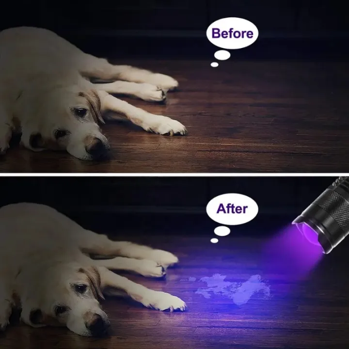 LED UV Flashlight 365/395nm Portable Mini Ultraviolet Torch Waterproof Zoomable Violet Light Pet Urine Scorpion Detector UV Lamp image 6